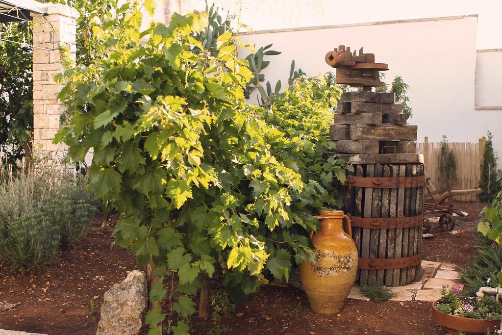 Corte Trullo Sovrano
